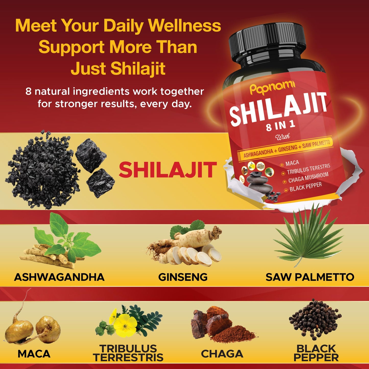 Papnami Shilajit Himalayan Capsules 90 Count