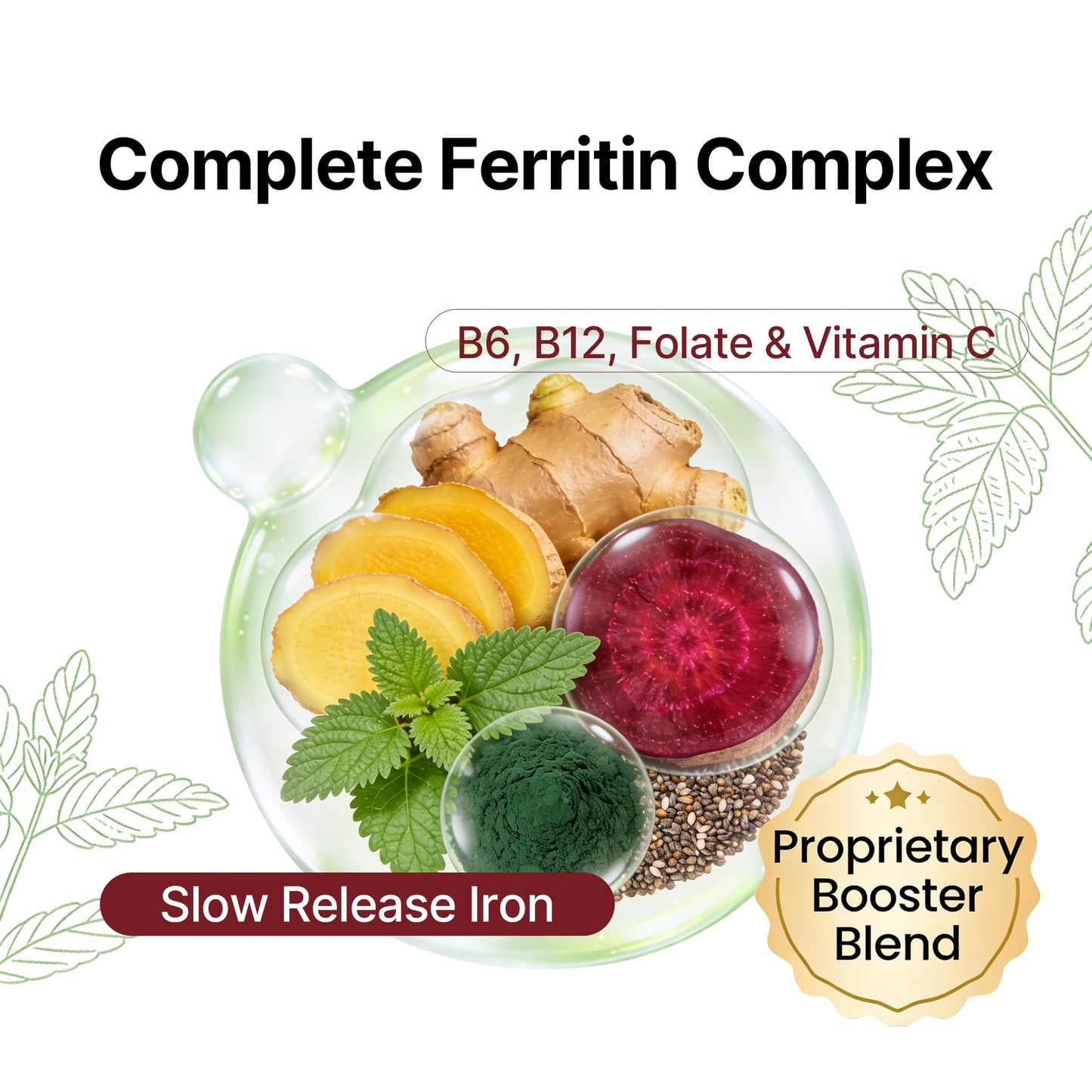ODORHOOD Ferritin Supplement for Women, Complete Ferritin Complex 60 Capsules