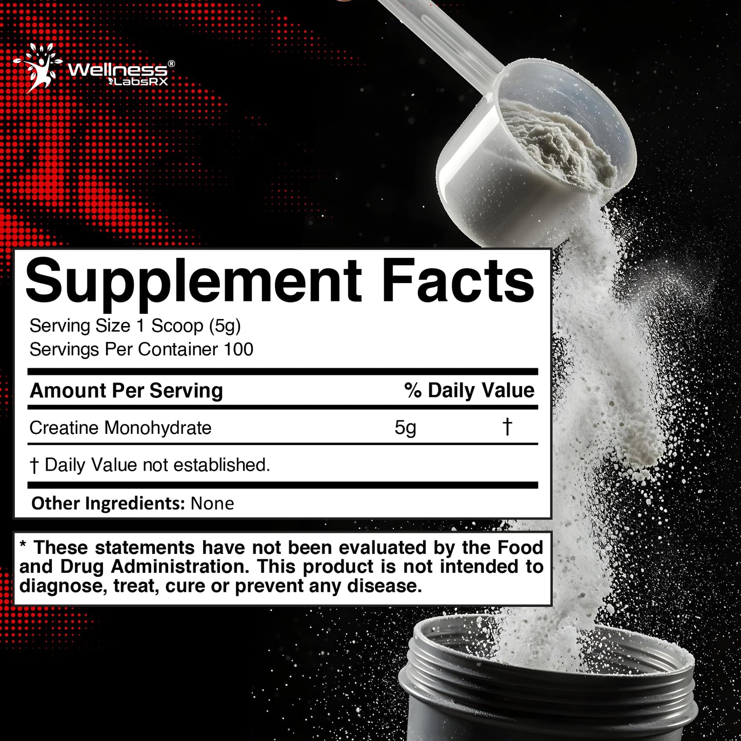 WELLNESS LABSRX Creatine Monohydrate Powder, 17.6 oz