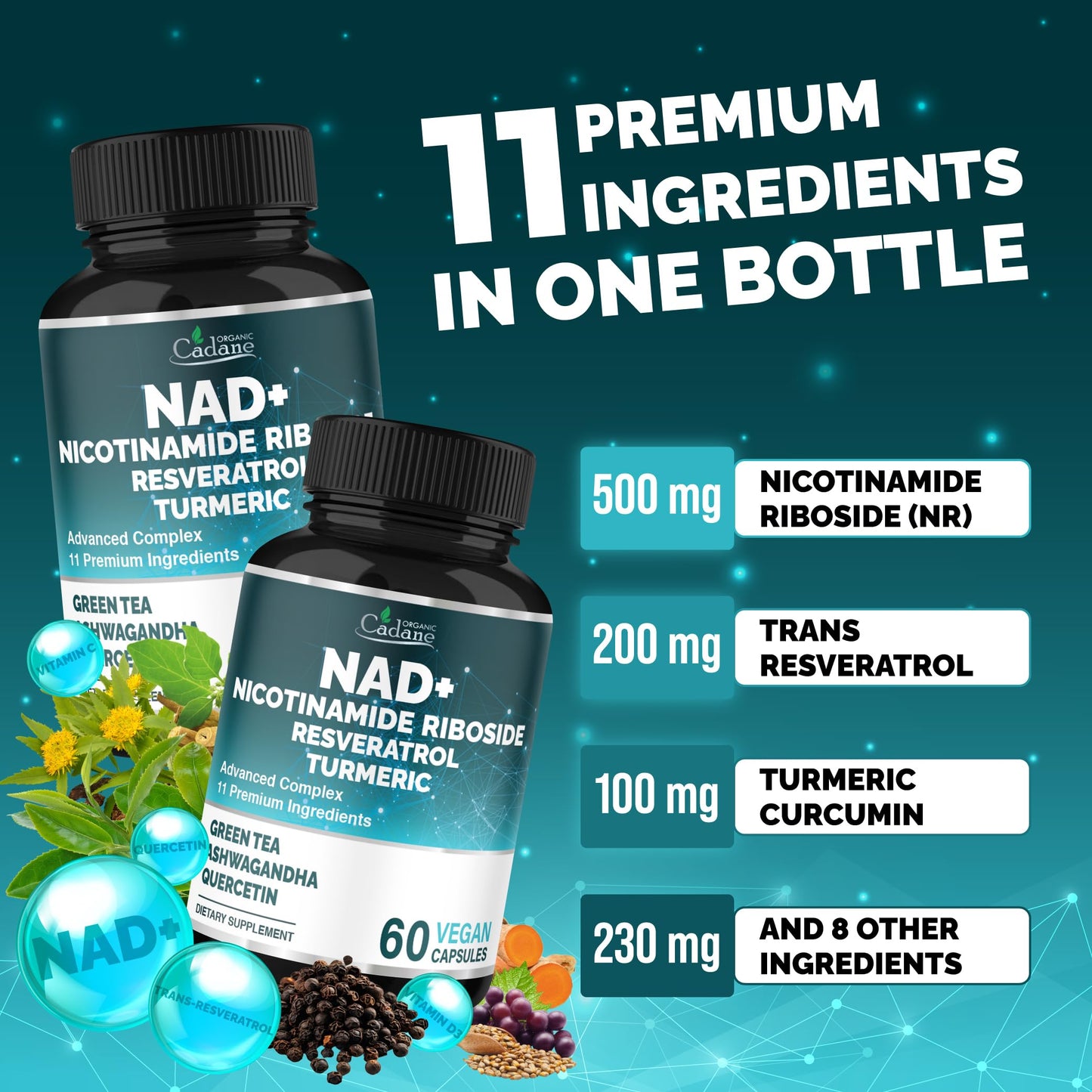 Organic Cadane 11-in-1 Nicotinamide Riboside Supplement with Trans-Resveratrol, Turmeric Curcumin & 8 More Capsules, 60 Count
