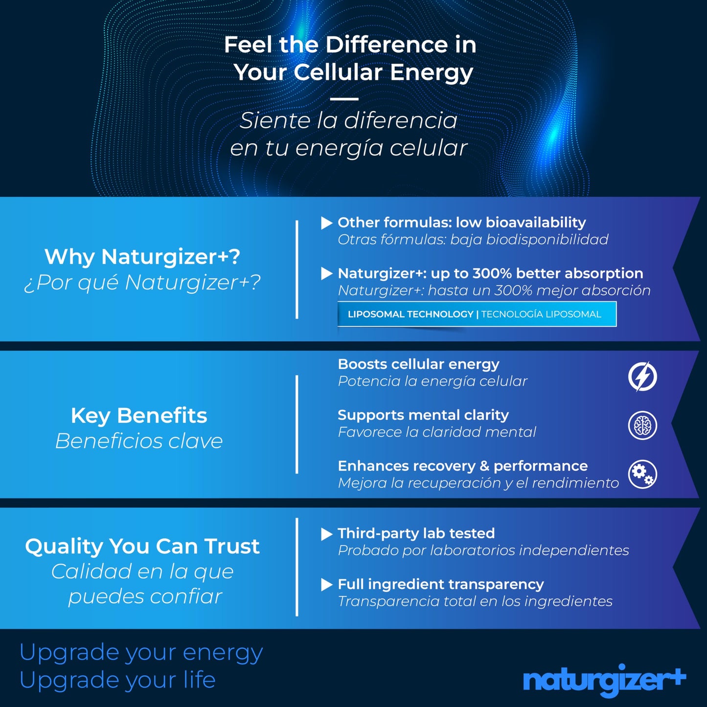 naturgizer+ Liposomal NAD+ Supplement with Resveratrol, Vitamin B3 & TMG 120 Capsules