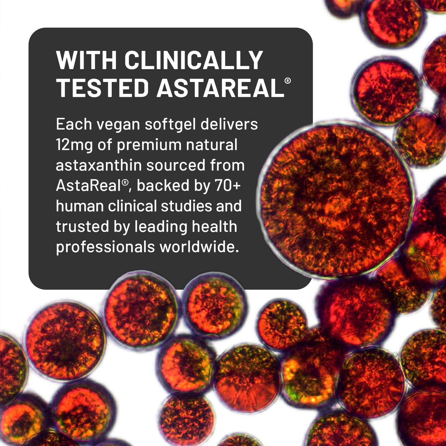 NatureWise Triple Strength Astaxanthin 12mg with AstaReal - Vegan Antioxidant Supplement with Organic Coconut Oil, 60 Softgels
