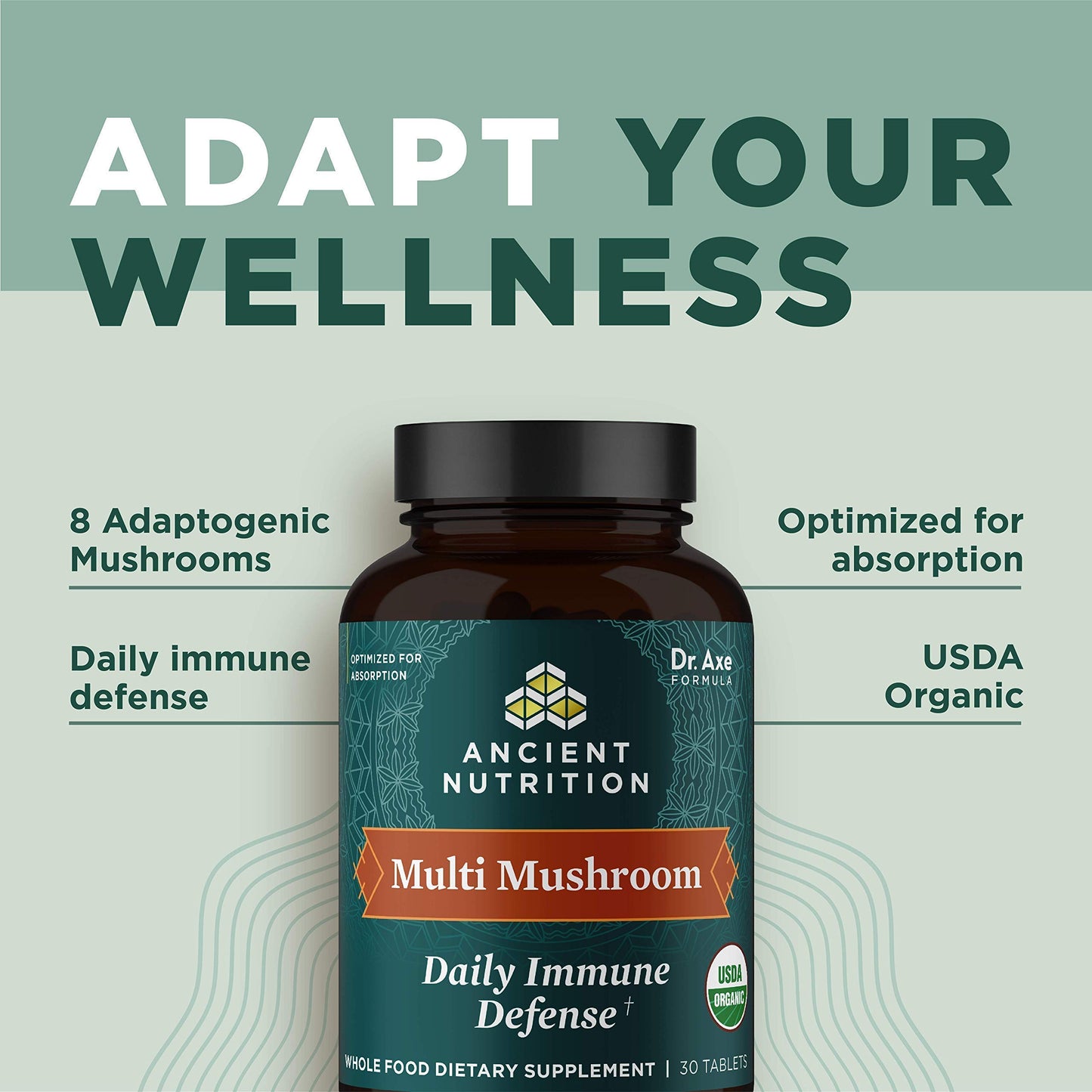 Ancient Nutrition Mushroom Supplement Organic Multi Mushroom Immune Support, 60 Tablets