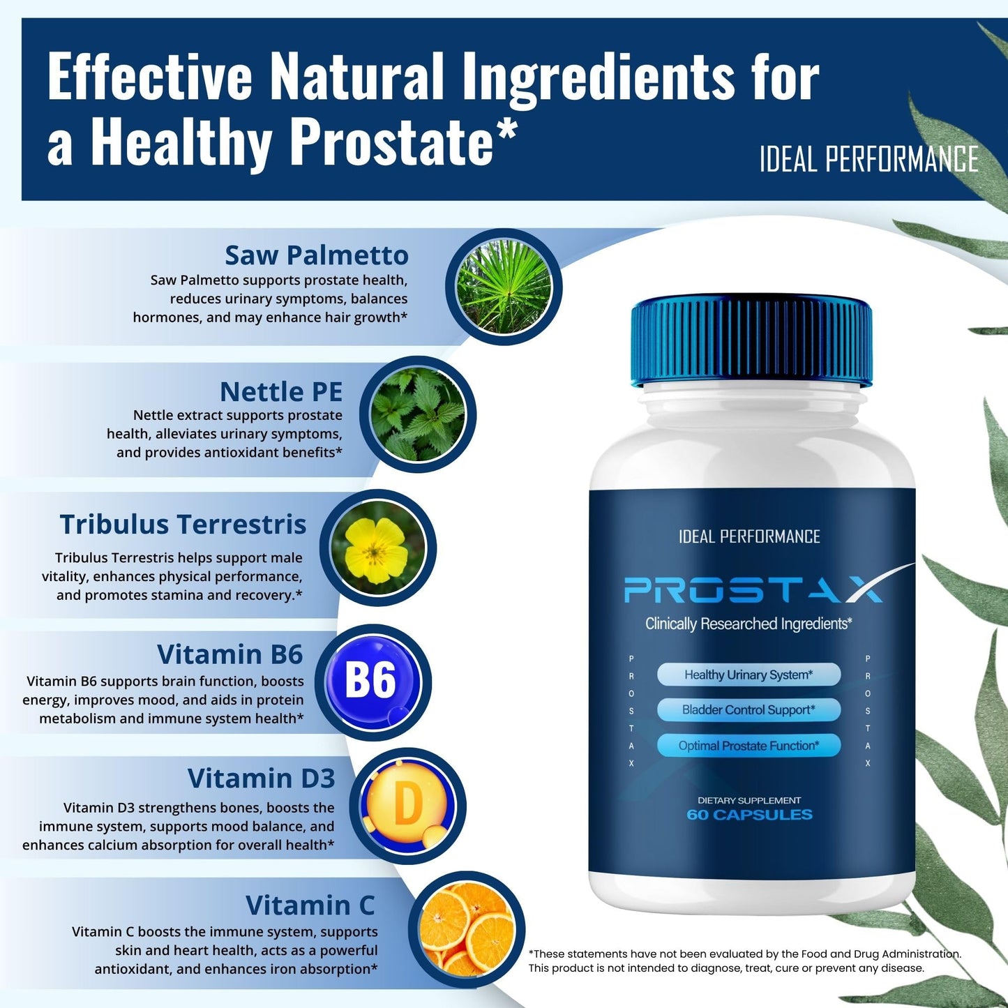 IDEAL PERFORMANCE ProstaX Prostate Health Supplements for Men Capsules 120 Count