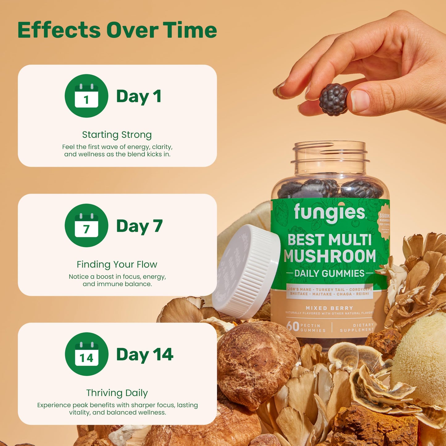 Fungies Multi Mushroom Gummies 60 Count