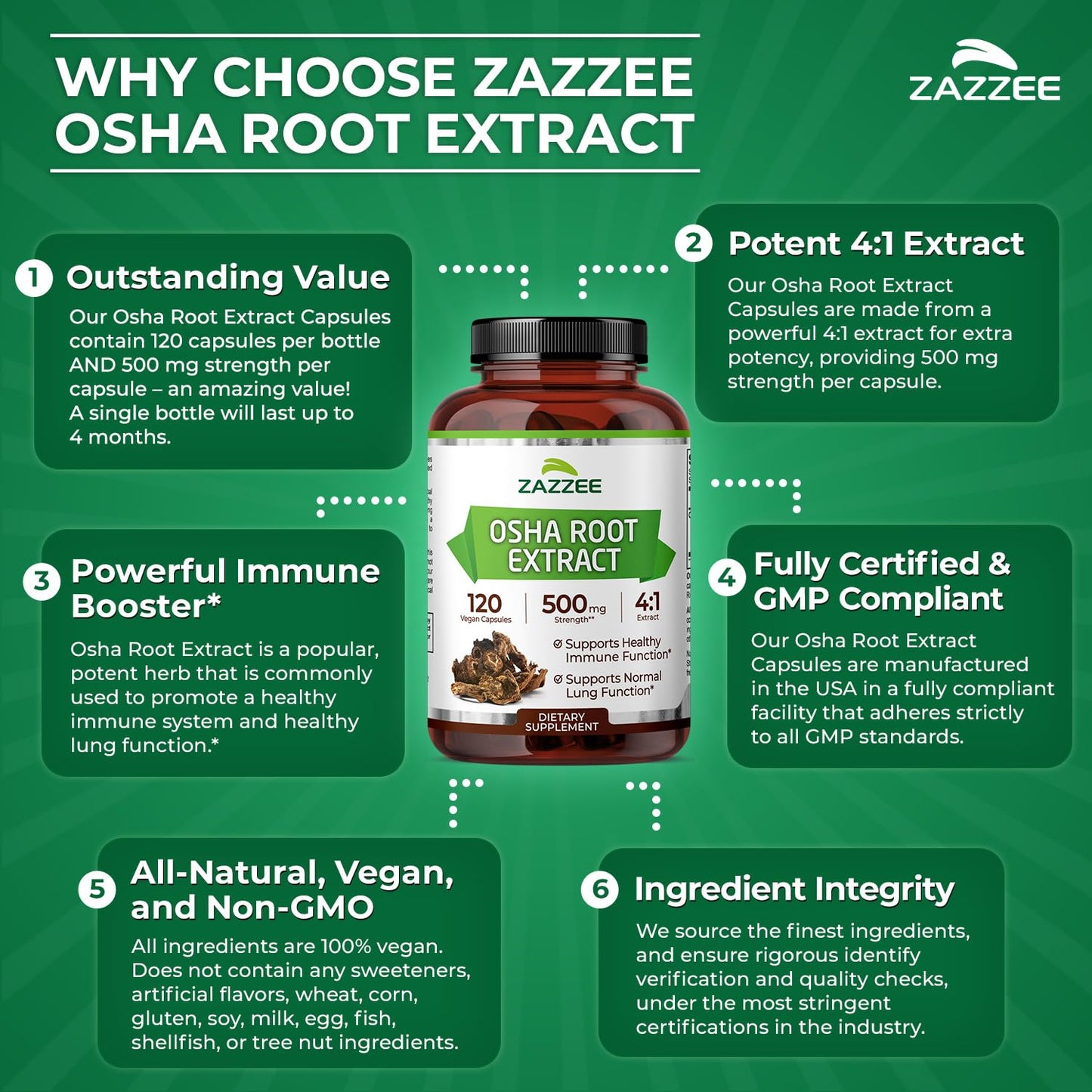 Zazzee OSHA Root 4:1 Extract 500 mg, 360 Capsules