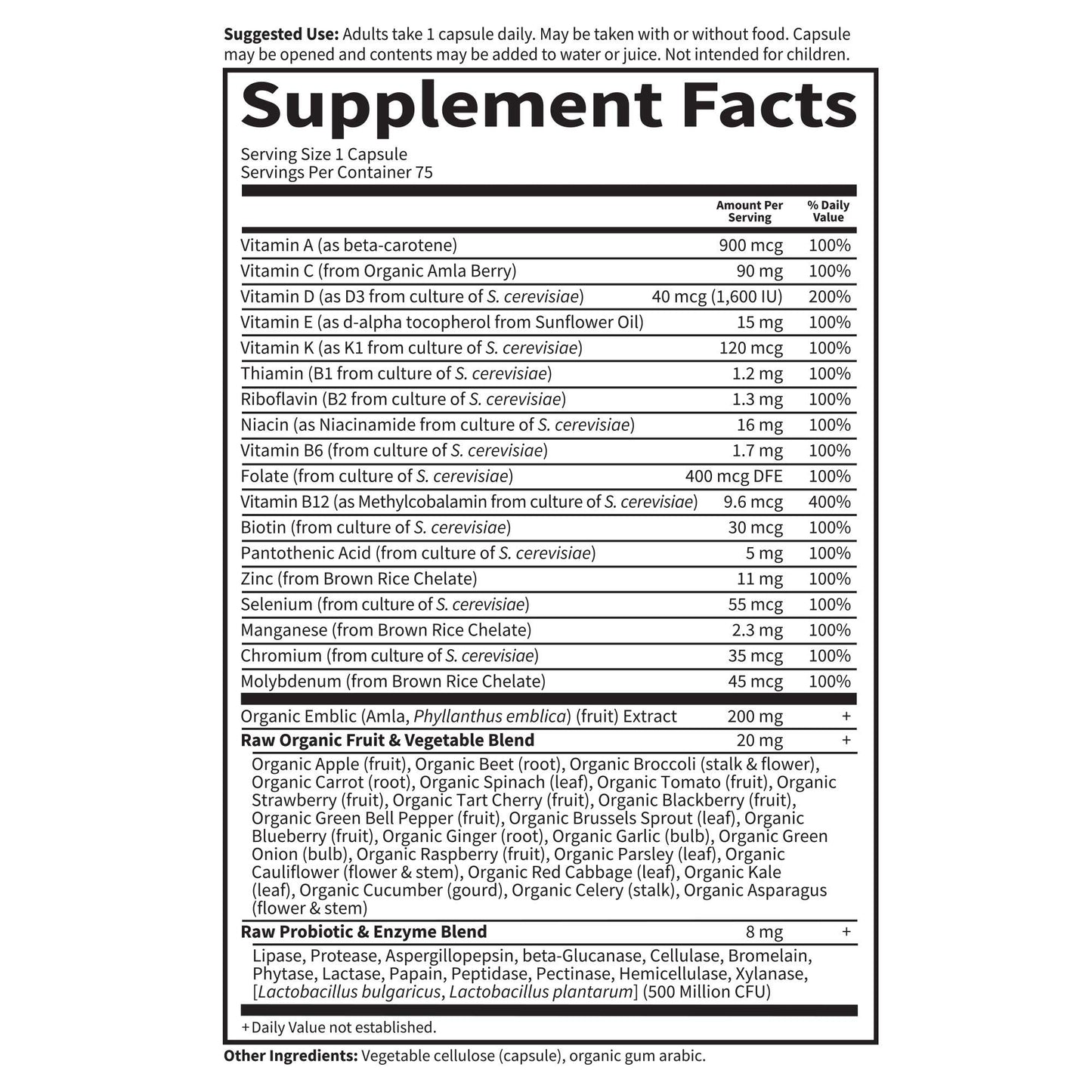 Garden of Life Vitamin Code Raw One for Men Capsules 450