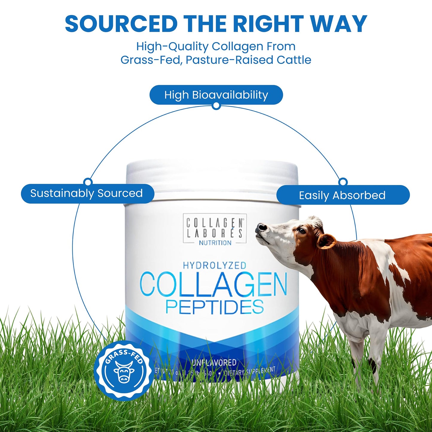 Collagen Laborés Pure Hydrolyzed Collagen Peptides Powder, Unflavored, 20 oz