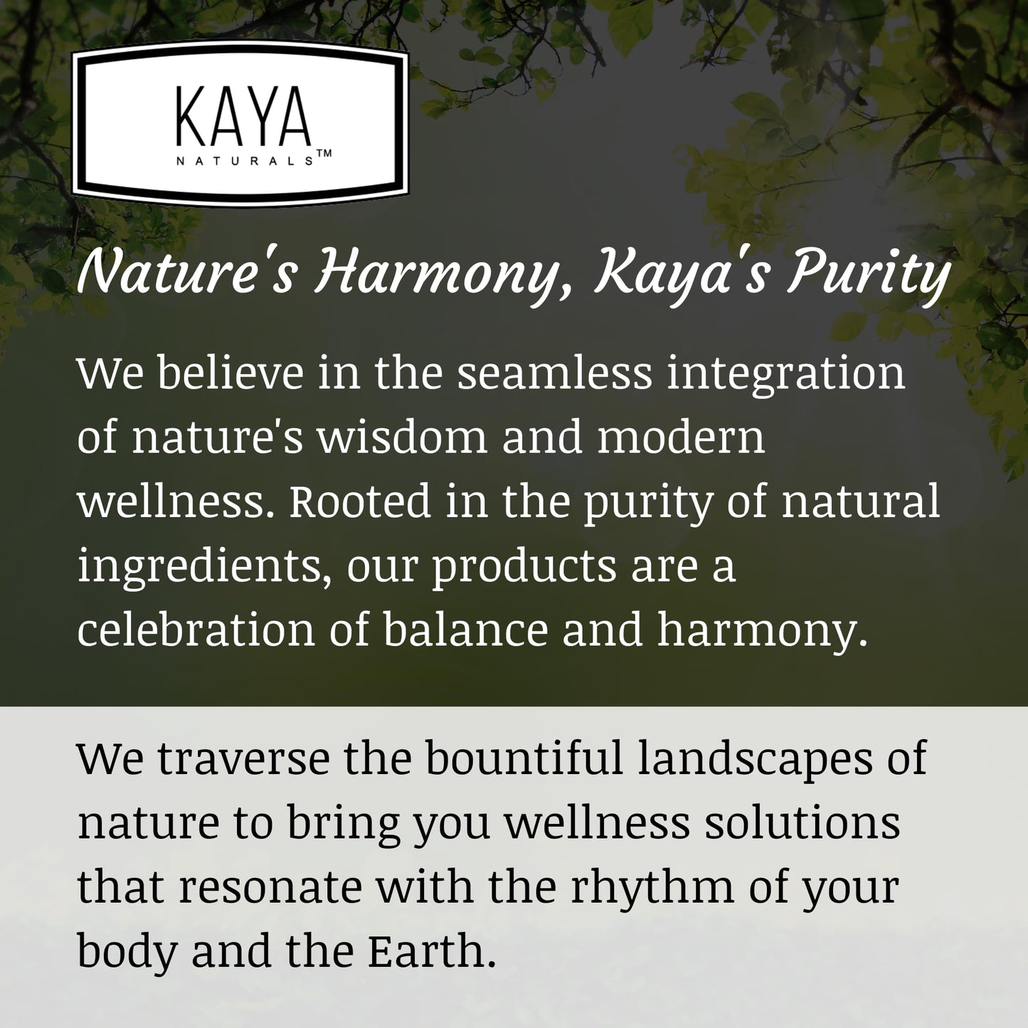 Kaya Naturals MACA Plus Capsules 60 Count