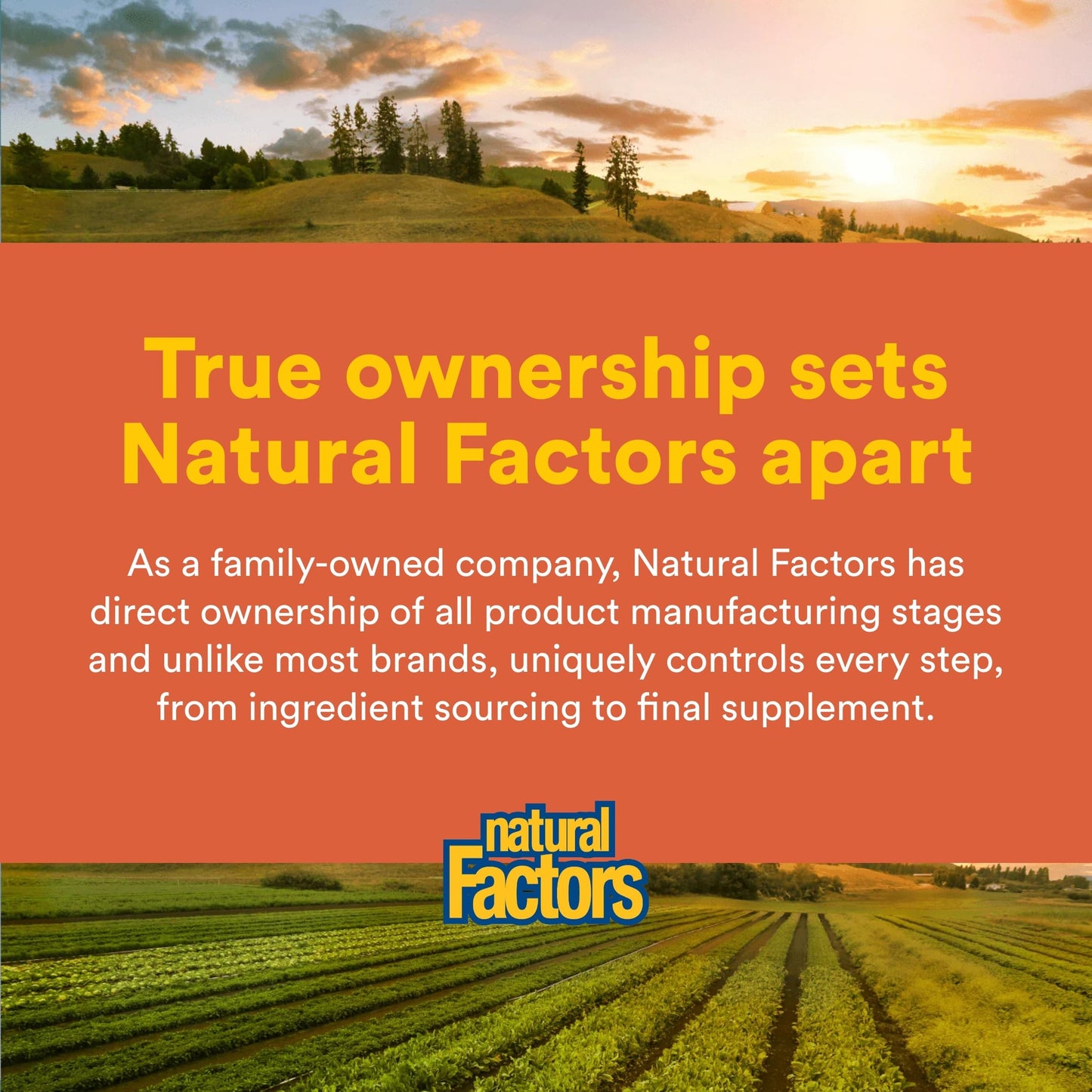 Natural Factors Joint MSM Formula Capsules, 90 Count