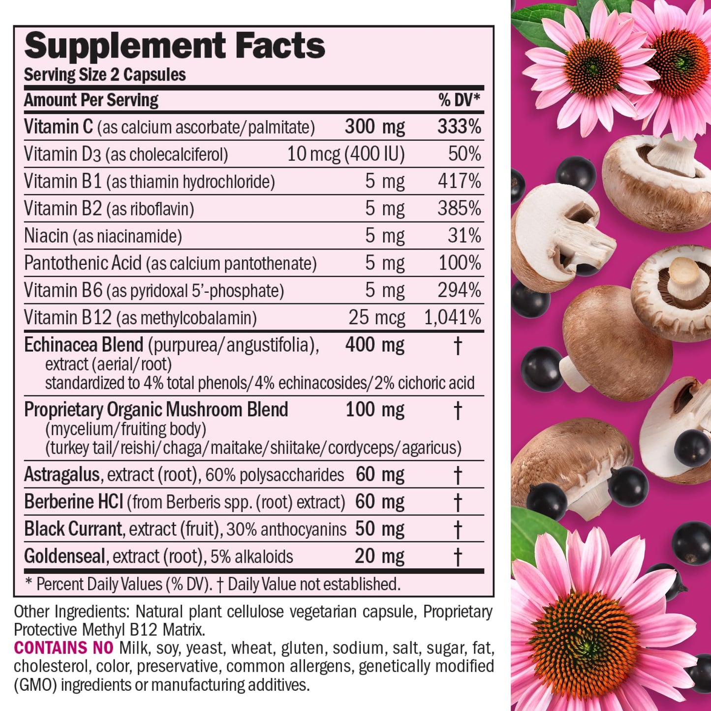 ANDREW LESSMAN Immune Factors 60 Capsules