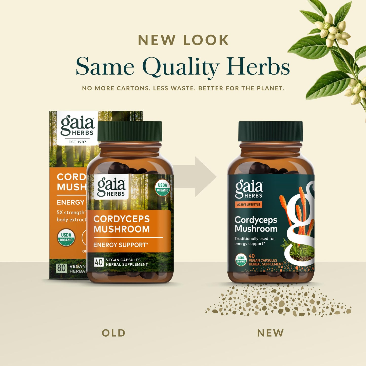 Gaia Herbs Cordyceps Mushroom Capsules 40 Count