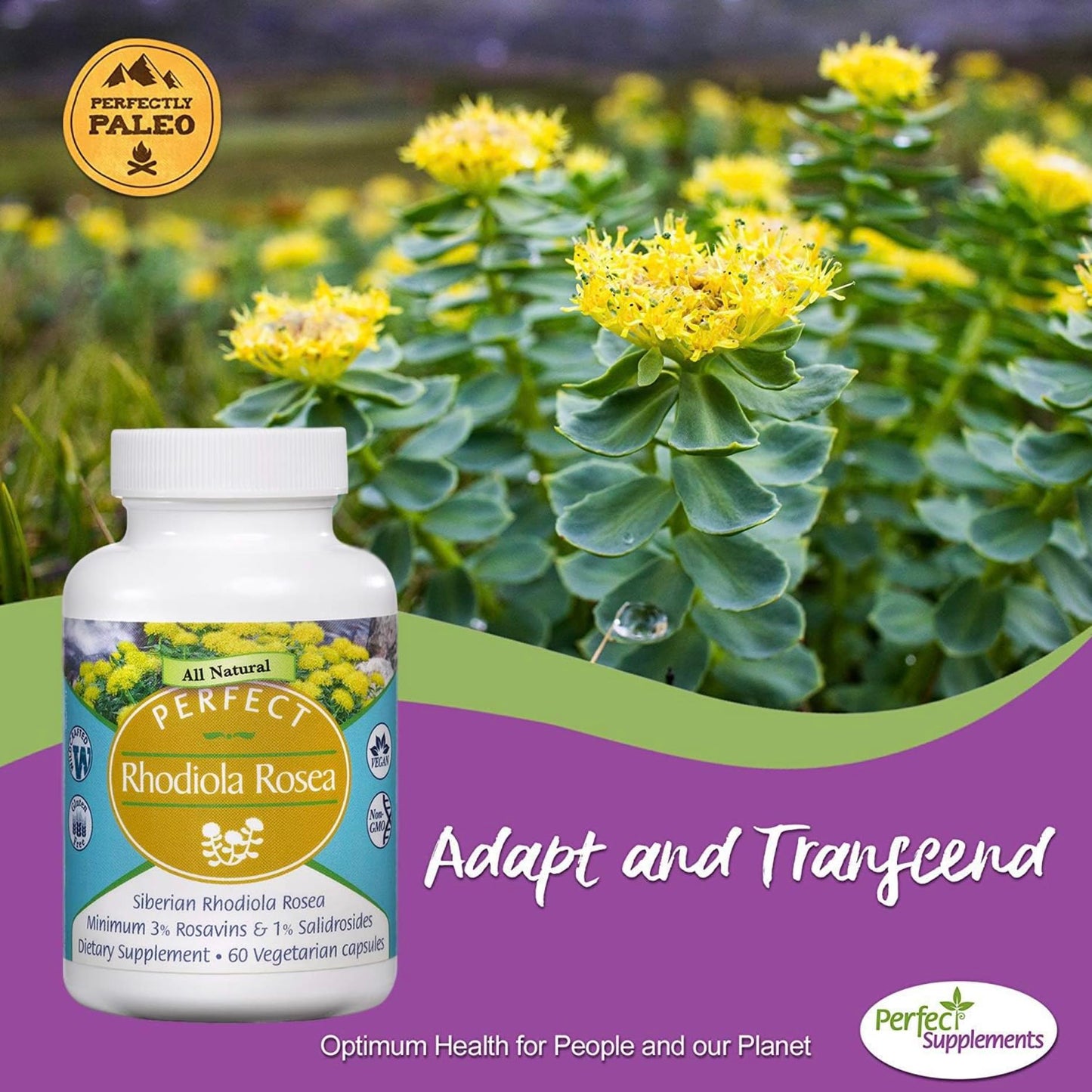 Perfect Supplements Rhodiola Rosea Capsules, 60 Count