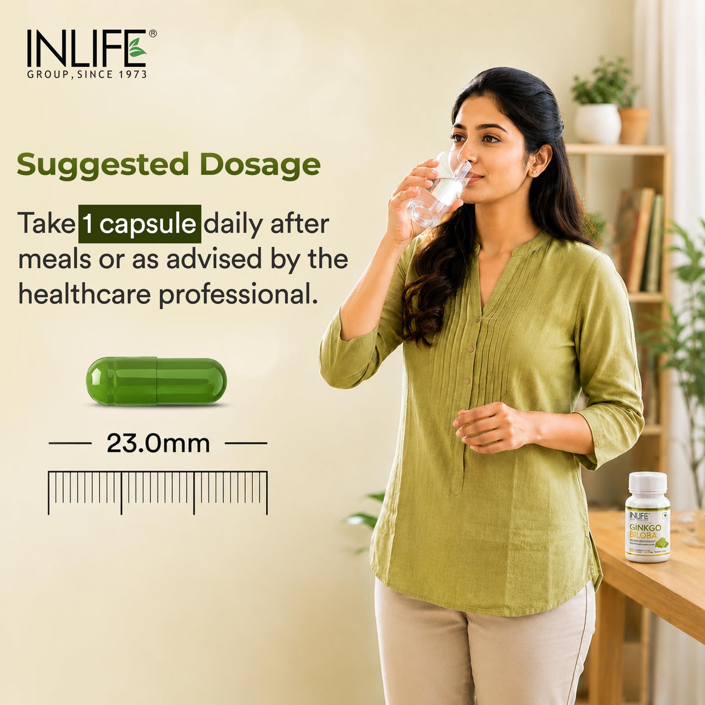 INLIFE Ginkgo Biloba Extract 120mg Capsule, 1 Count