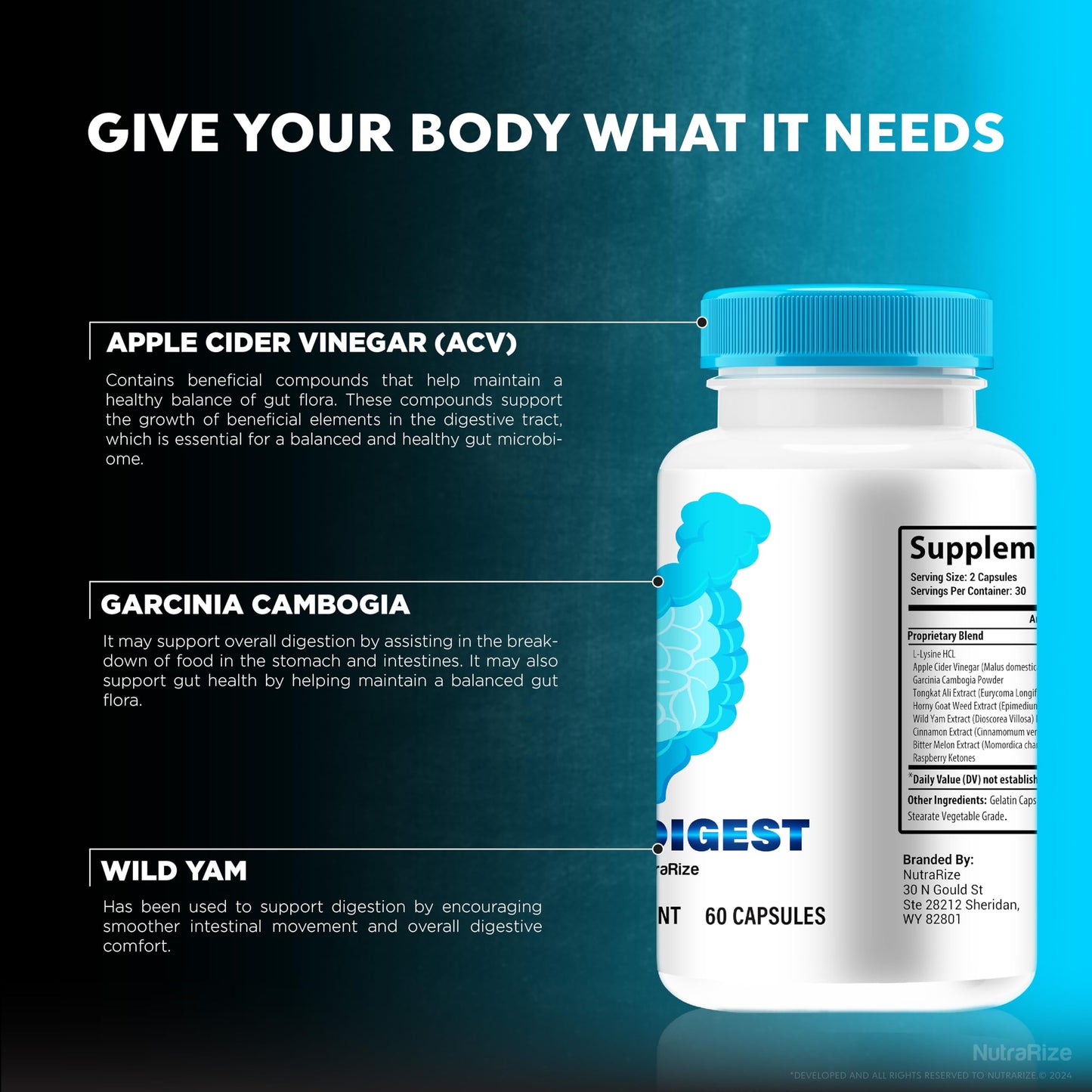 NutraRize Pure Digest Capsule, 60 Capsules