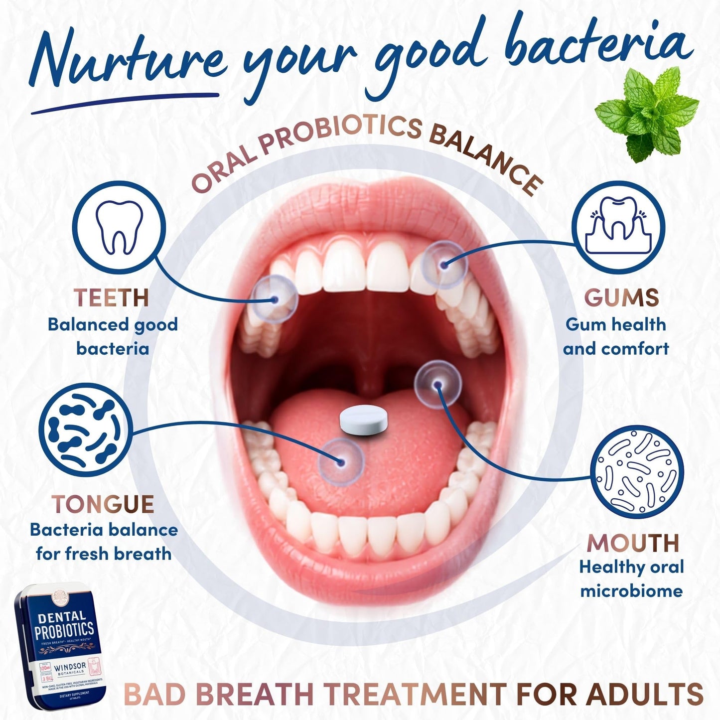 WINDSOR BOTANICALS Dental Probiotics for Teeth and Gums Tablets, 270