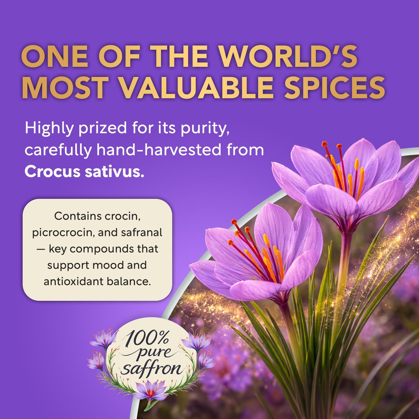 Dalnara Saffron Supplements for Women 88.5mg Capsule, 90 Count
