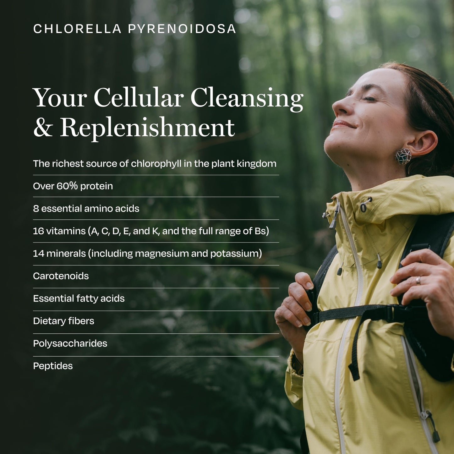 BioPure Chlorella Pyrenoidosa Tablets, 1000