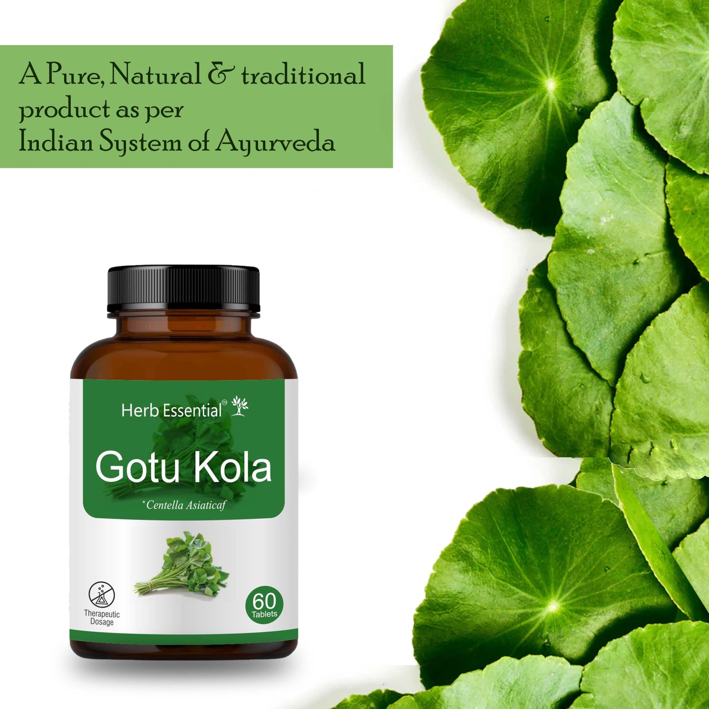 Herb Essential Organic Gotu Kola 500mg Tablet, 60 Tablets