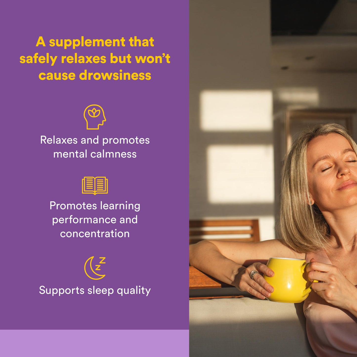 Natural Factors Suntheanine L-Theanine 100 mg Tablets 60