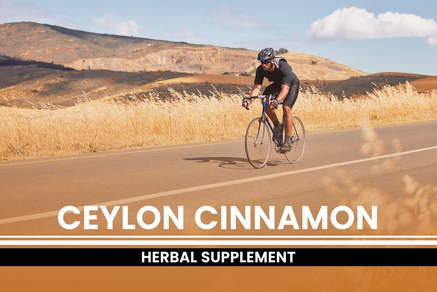PURE ORIGINAL INGREDIENTS Ceylon Cinnamon Capsules 730