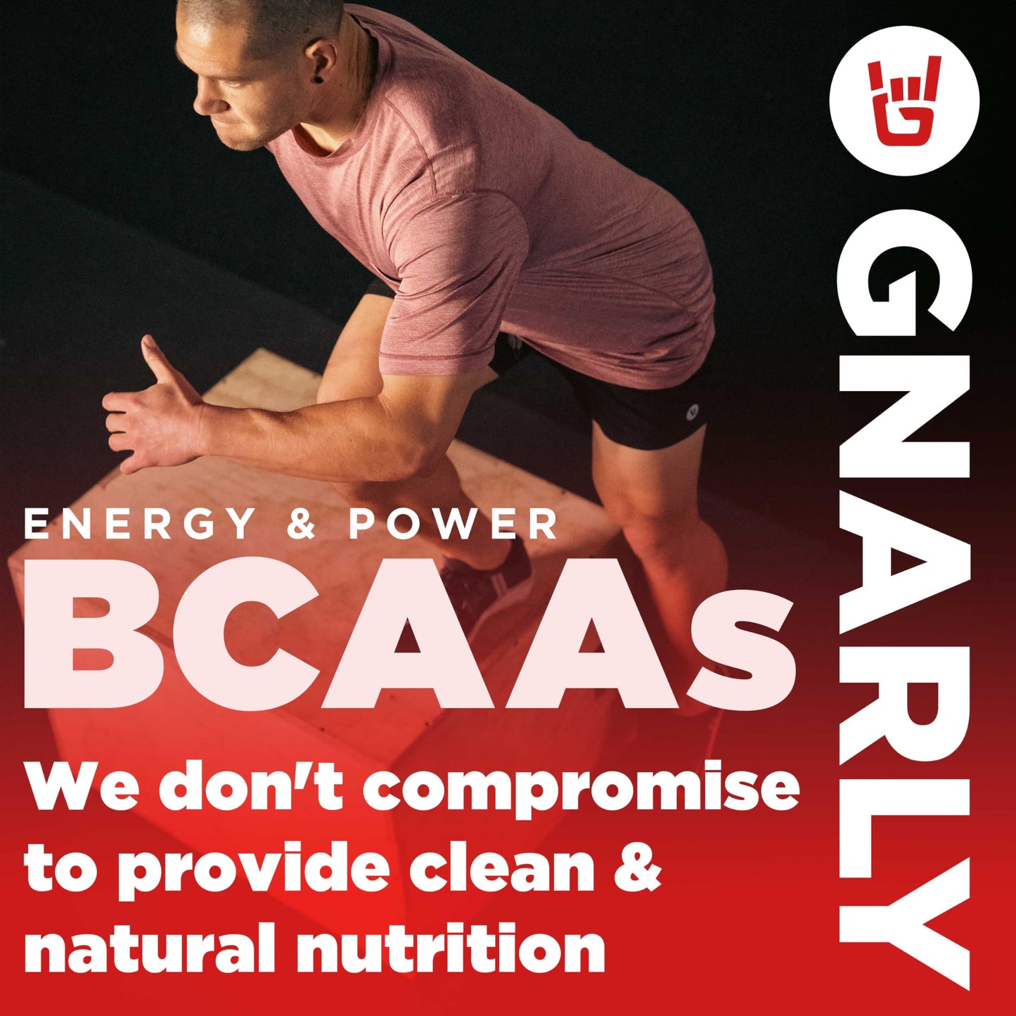 Gnarly Nutrition BCAA Powder 10.58 oz