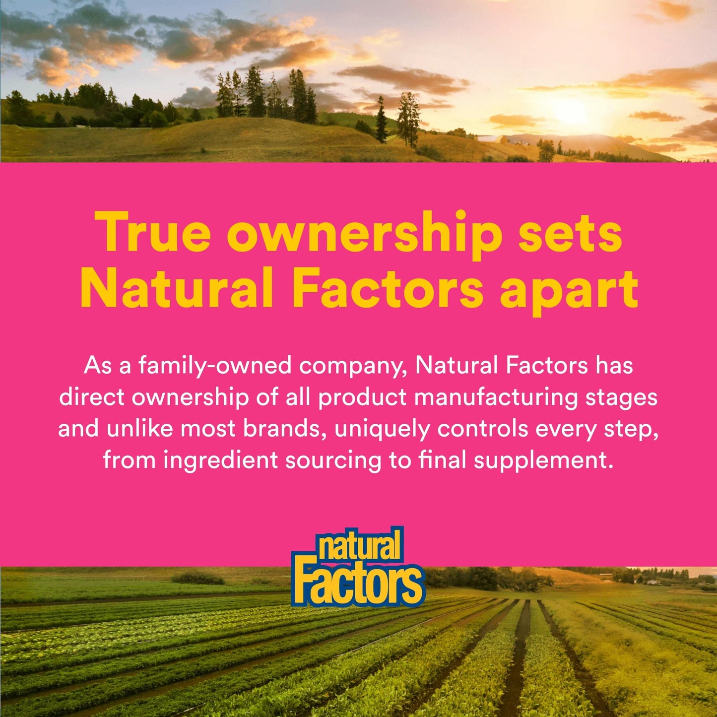 Natural Factors Complete Omega Wild Alaskan Salmon Oil Softgels 180