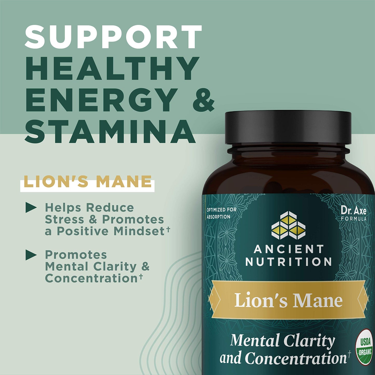 Ancient Nutrition Organic Lion's Mane Mushroom Supplement with Ashwagandha Tablets, 30 Tablets