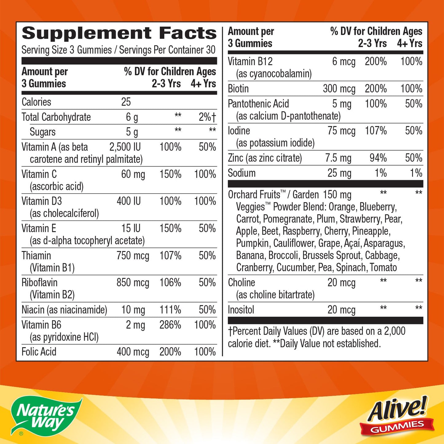 Nature's Way Alive Children's Multi-Vitamin Gummies, 90 Count