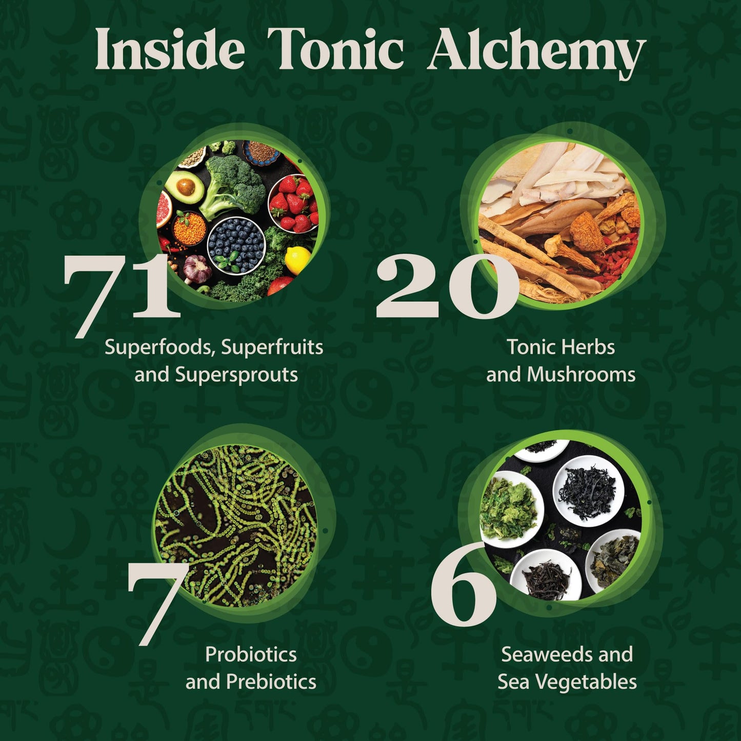 Dragon Herbs Tonic Alchemy Superfood Greens Powder 9.5 oz
