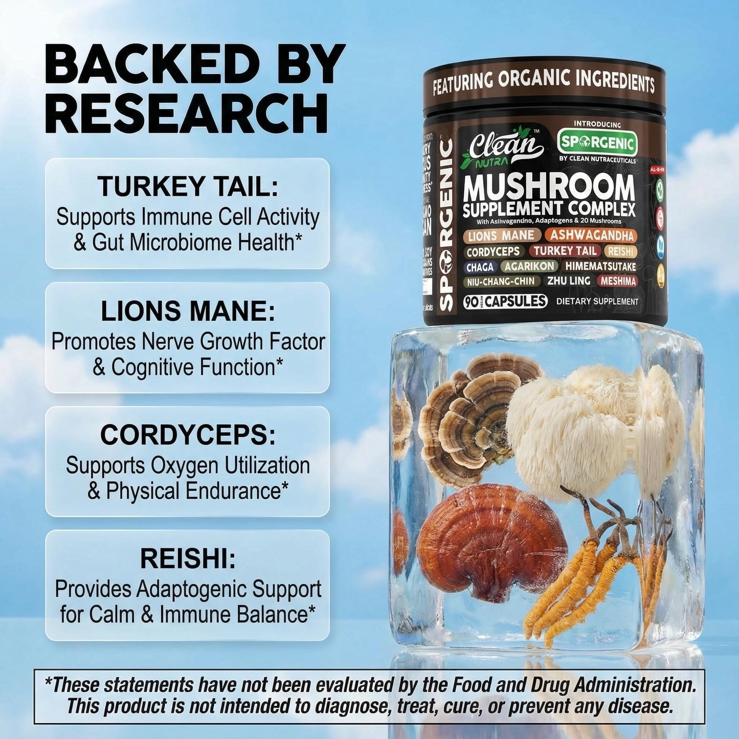 Clean Nutraceuticals Organic Mushroom Supplement with Ashwagandha Lions Mane Cordyceps Turkey Tail Reishi Mushrooms Maca Root Black Hoof Chaga Tremella Agarikon Shiitake Oyster Powder Capsules 90 Count