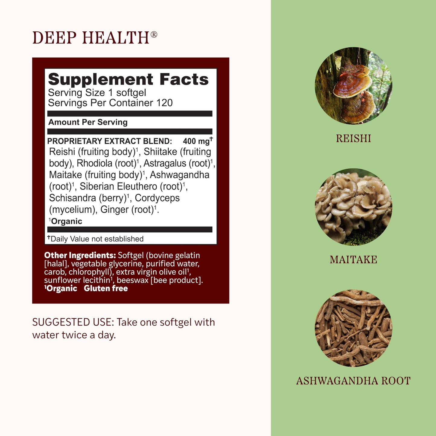 Herbs Etc. Deep Health Softgels Mushroom Complex for Vitality & Immune Support - Reishi, Shiitake & Rhodiola Root - Gluten-Free & Organic, 120 Softgels