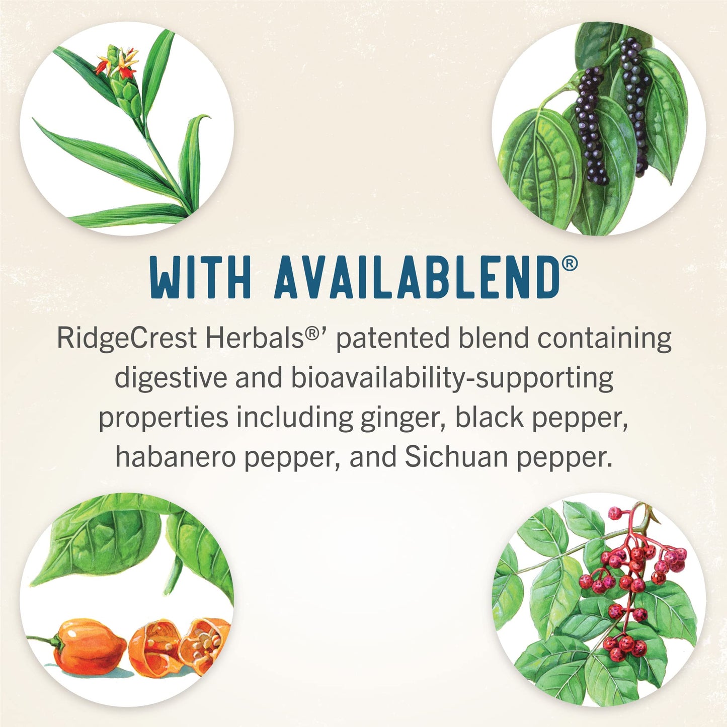 RidgeCrest Herbals Hair ReVive Nutritional Hair Supplement with Vitamin C, Biotin (6000mcg), Zinc, and Copper Capsules, 120 Count