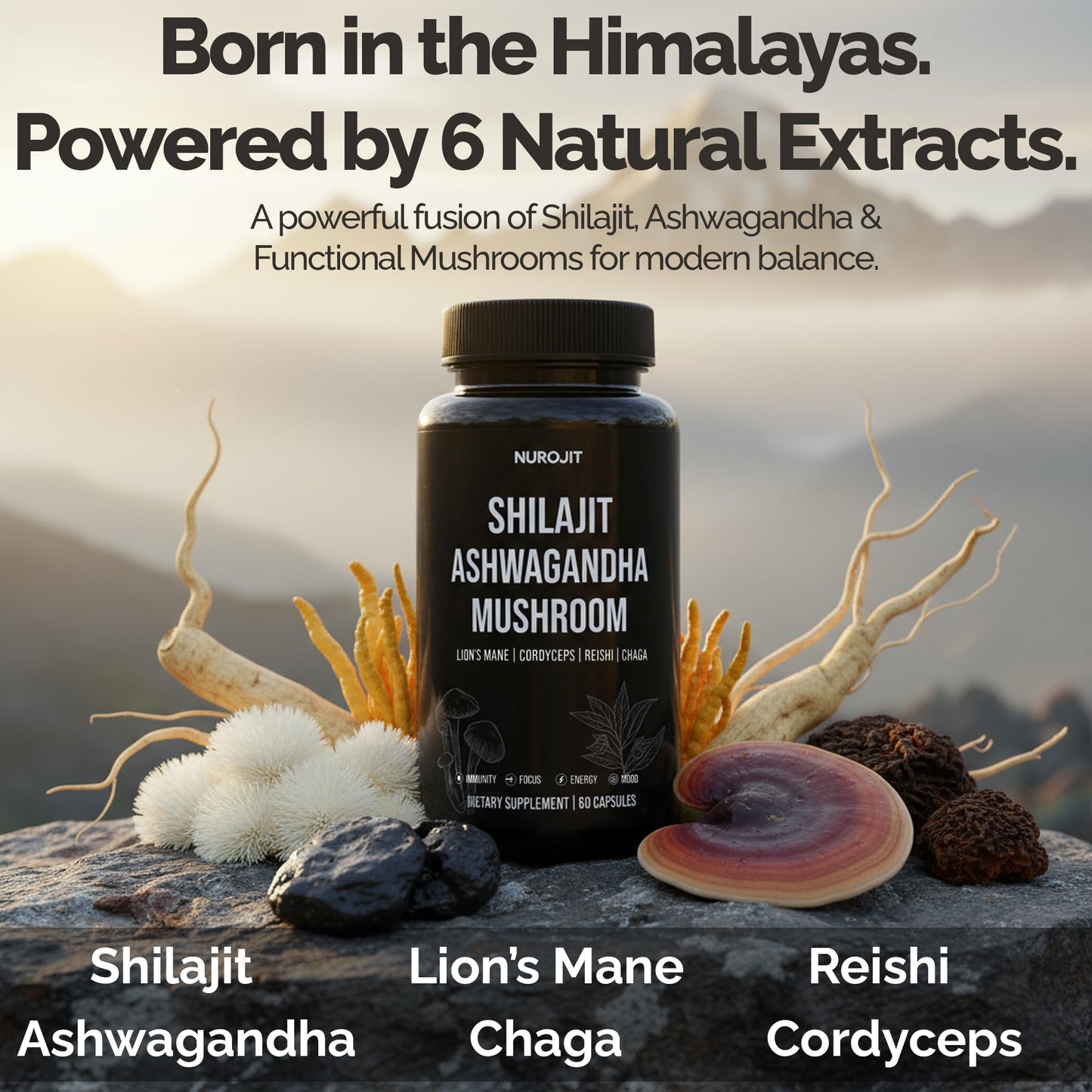 NuroJit Shilajit Ashwagandha Mushroom Capsules, 60 Count