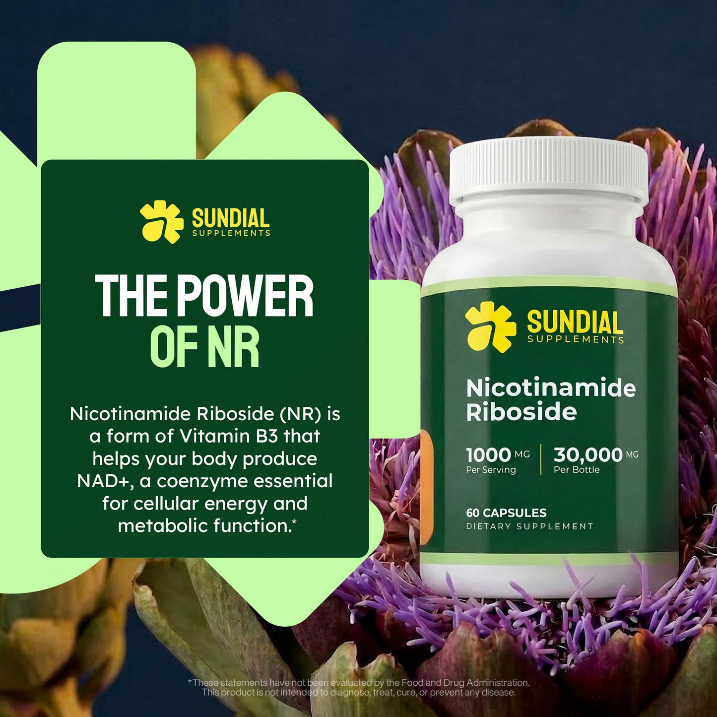 Sundial Supplements Nicotinamide Riboside (NR) 1000mg, 60 Capsules