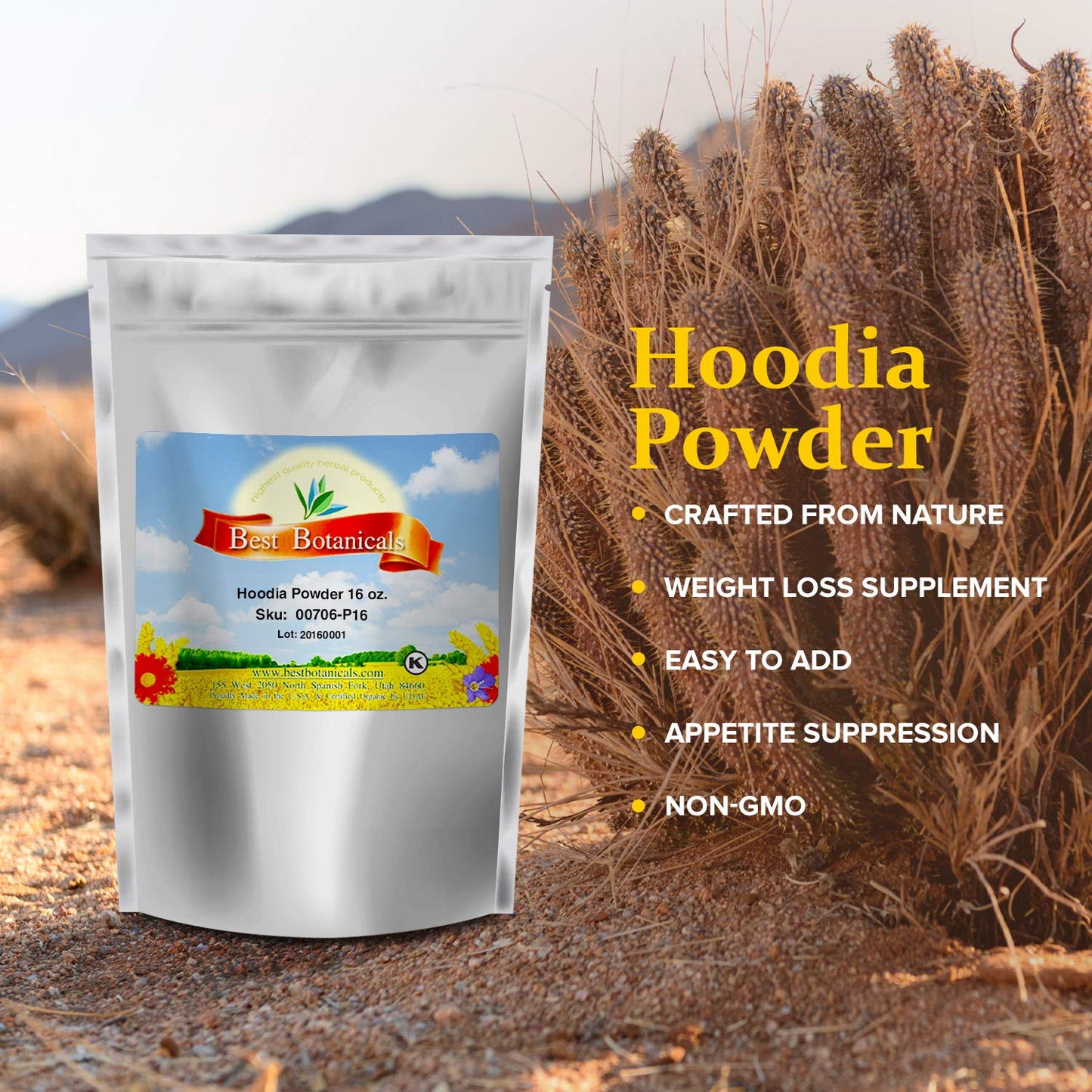 Best Botanicals Hoodia Powder 16 oz