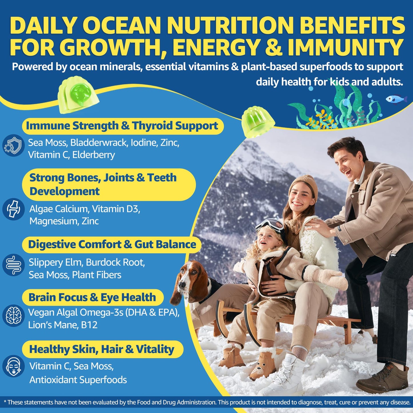 EnvyCure Sea Moss Gummies 120
