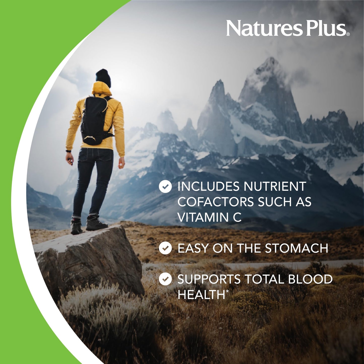 NaturesPlus Hema-Plex Iron Chewables 60 Count
