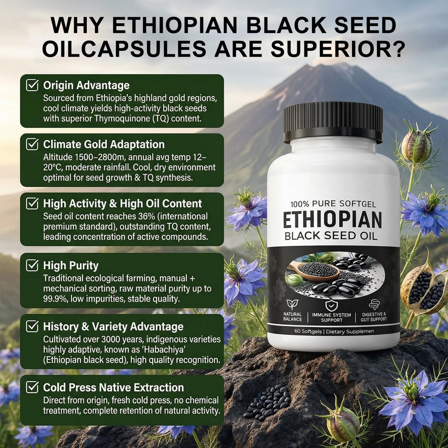 HIDLY Black Seed Oil Capsule 60 Count