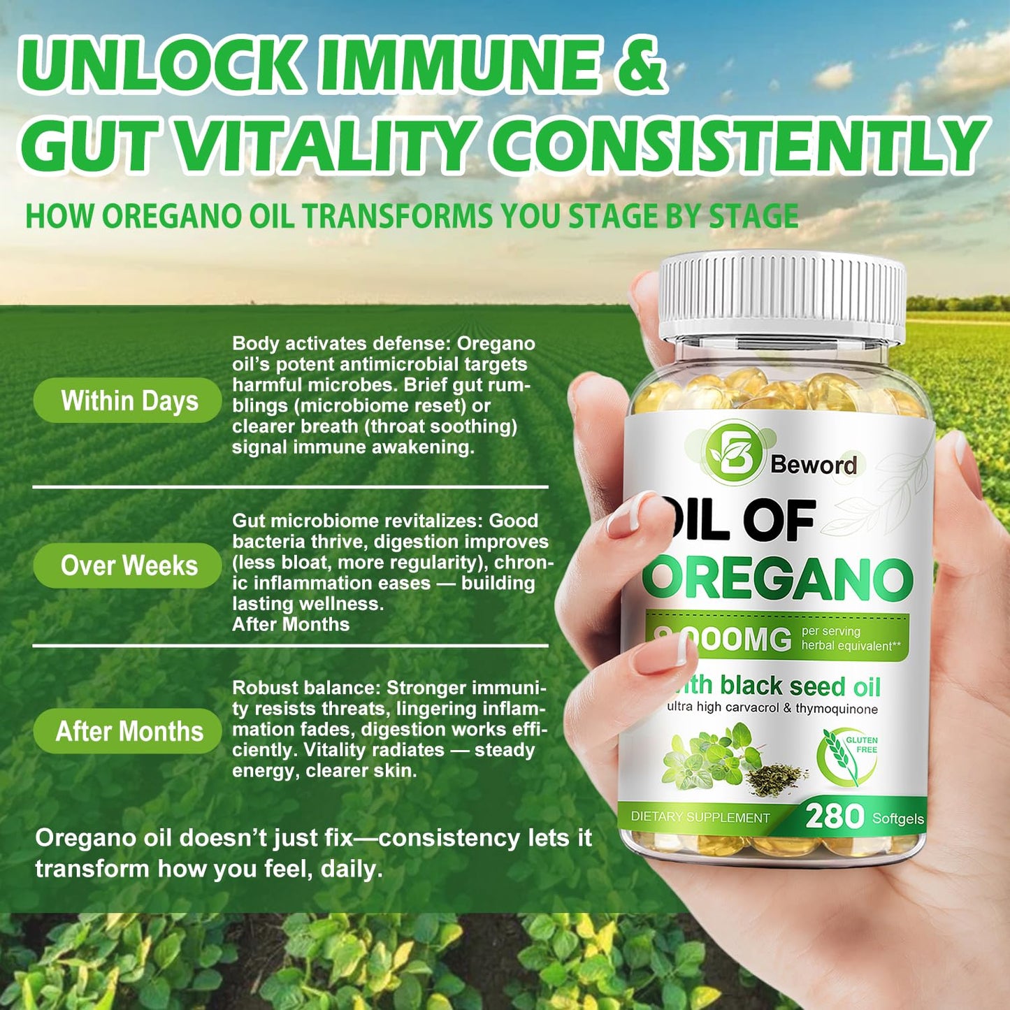 BEWORD Oil of Oregano with Black Seed Oil Softgel, 560 Softgels