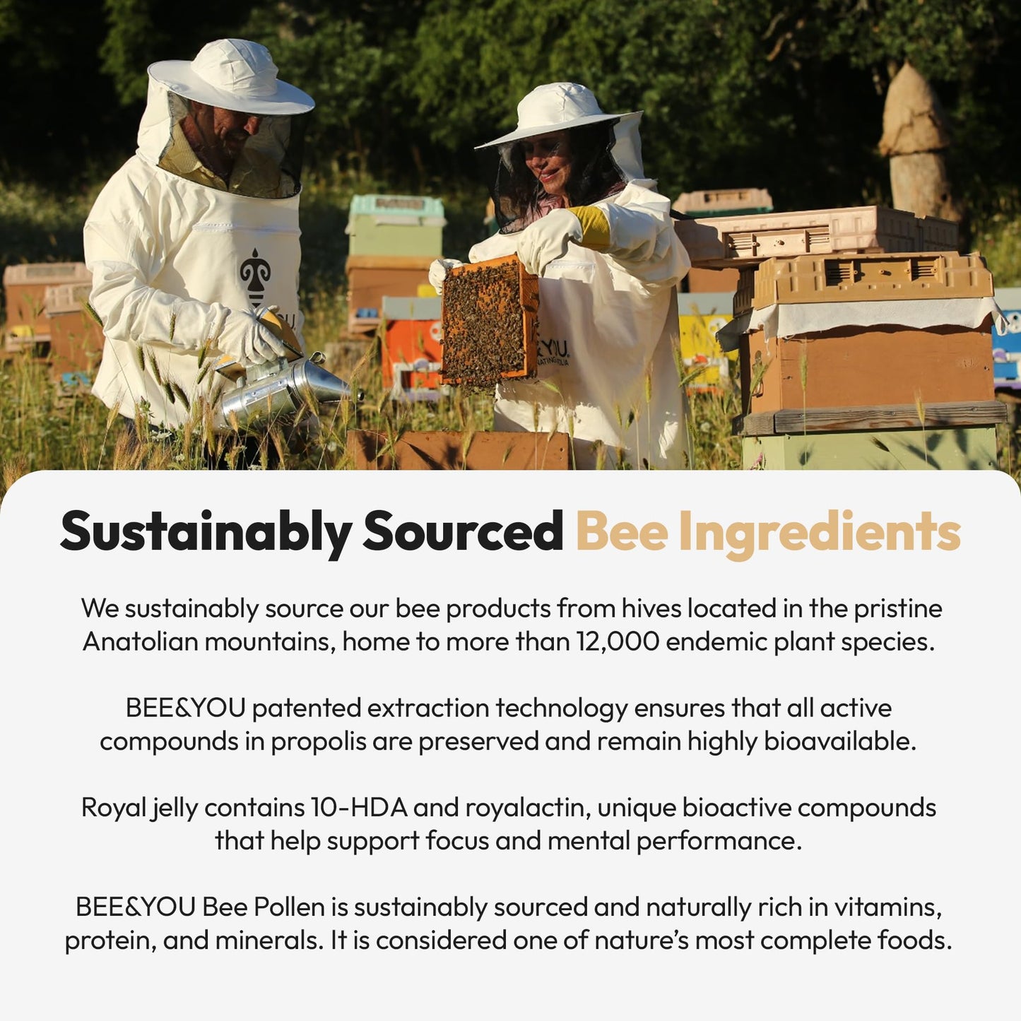 BEE & YOU Royal Jelly Tablet 60 Tablets