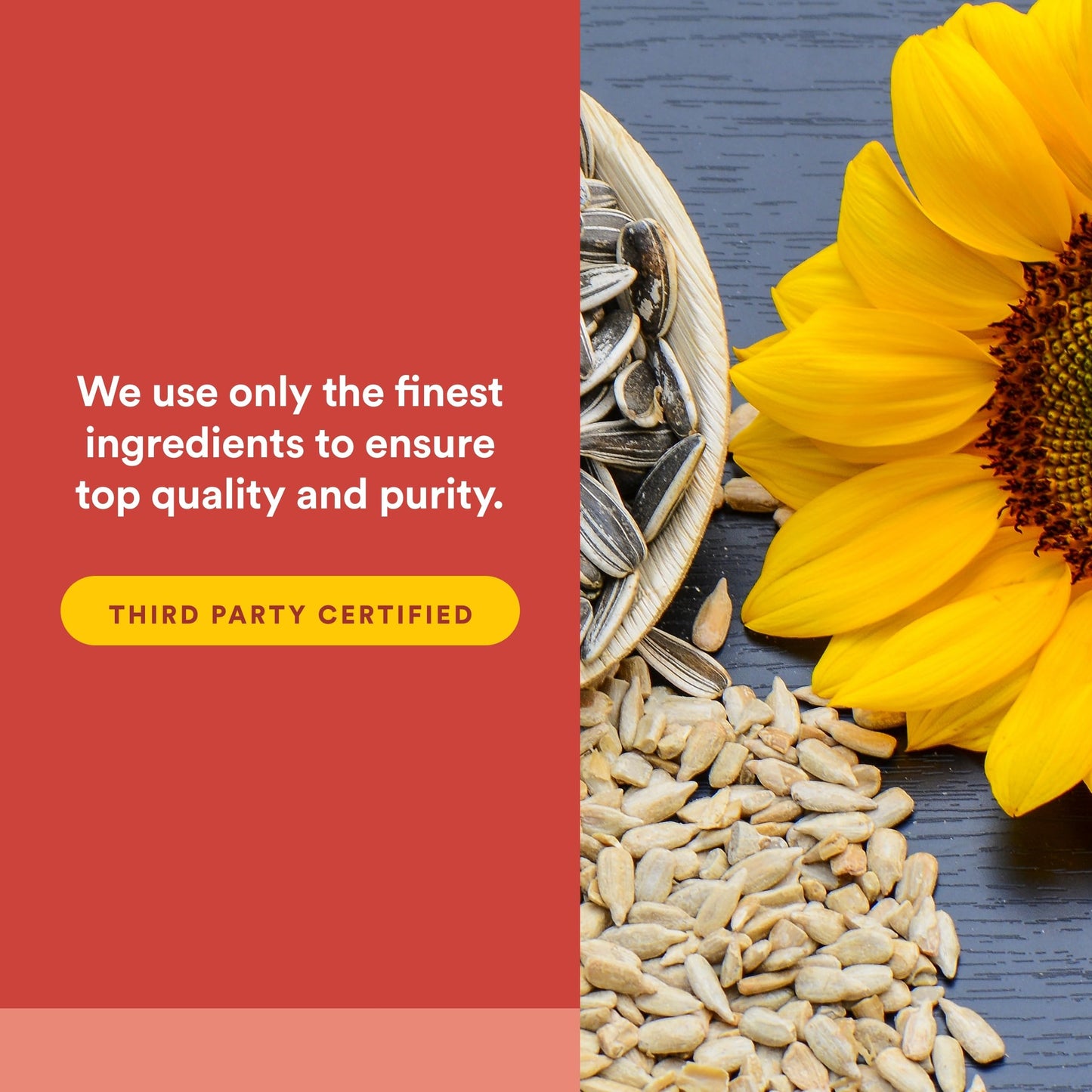 Natural Factors Phosphatidylserine Softgels 120