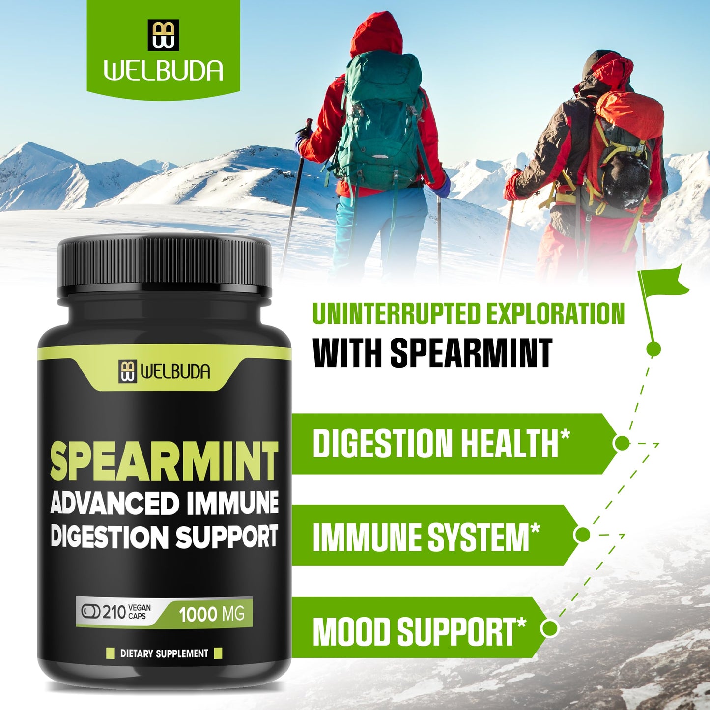 WELBUDA Spearmint Supplement with Olive Leaf, Ginger Root, Black Pepper 210 Capsules