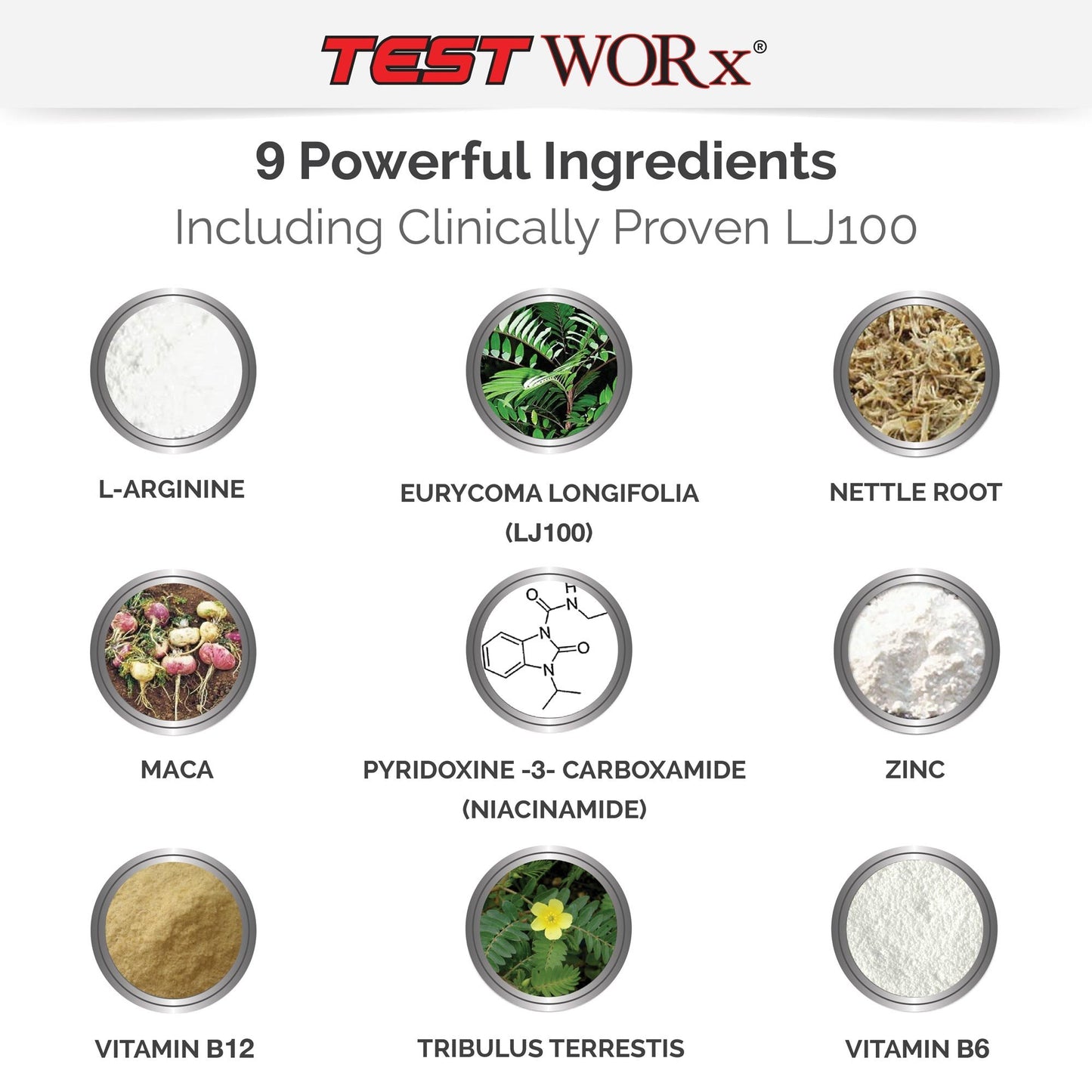Superior Labs Test Worx Natural Testosterone Booster Supplement 60 Capsules