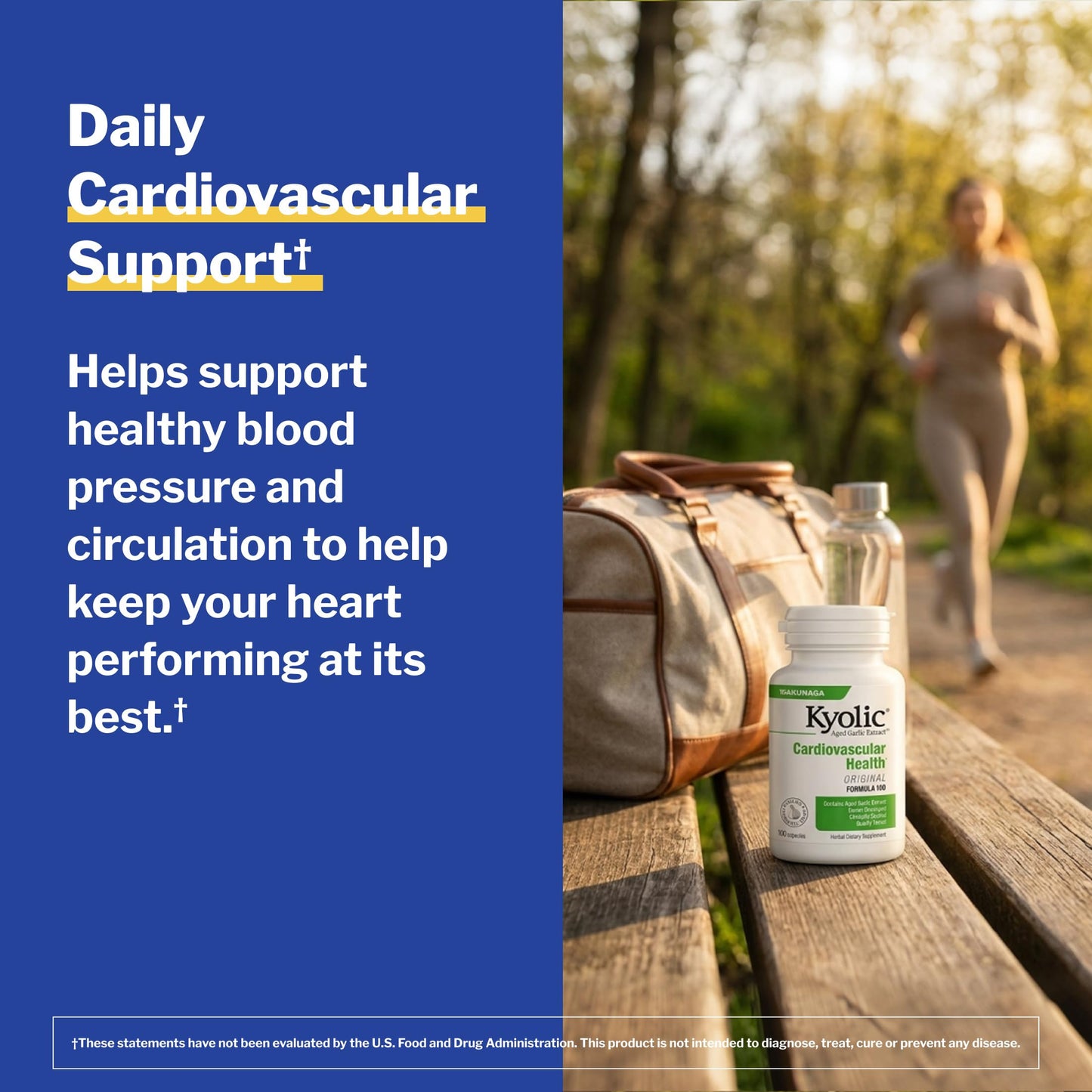 Kyolic Aged Garlic Extract Cardiovascular Health Formula 100 Capsules