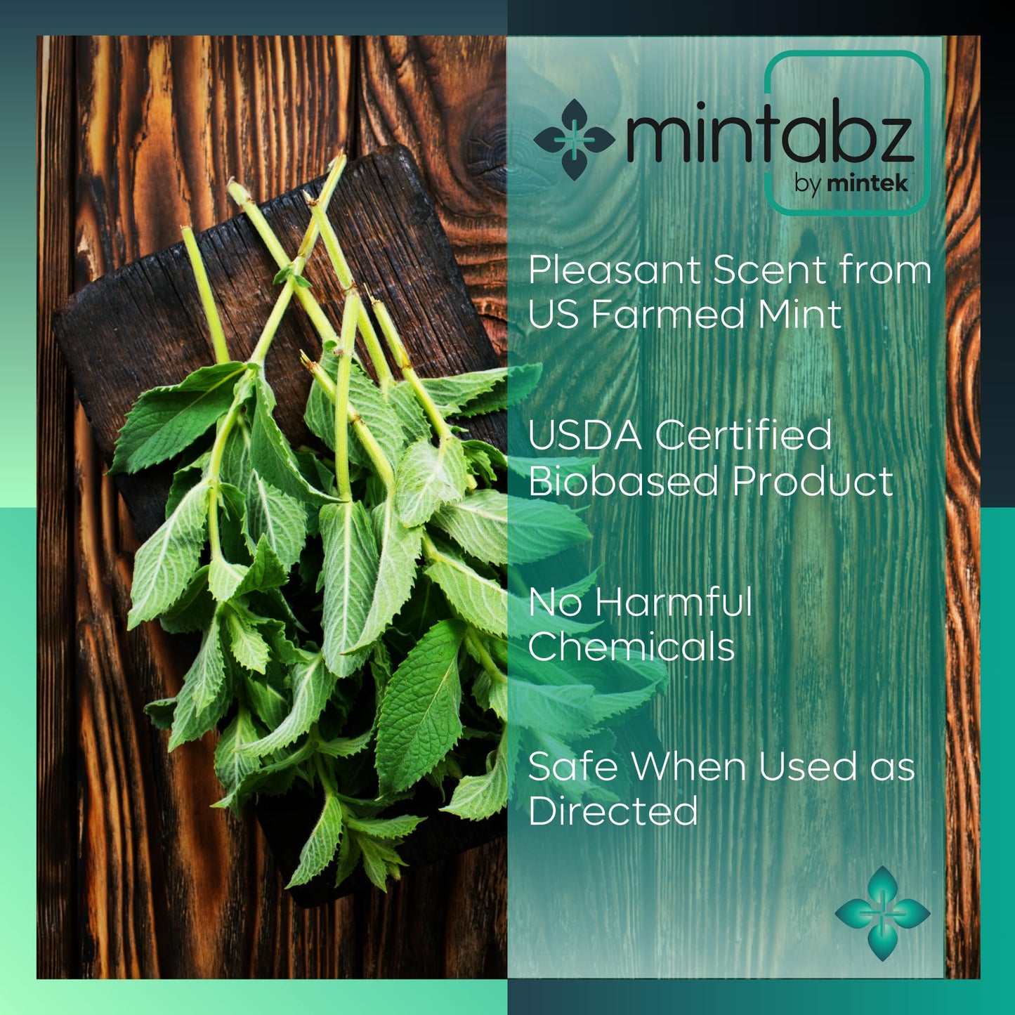 Mintek Mintabz Tablets, 24-Count