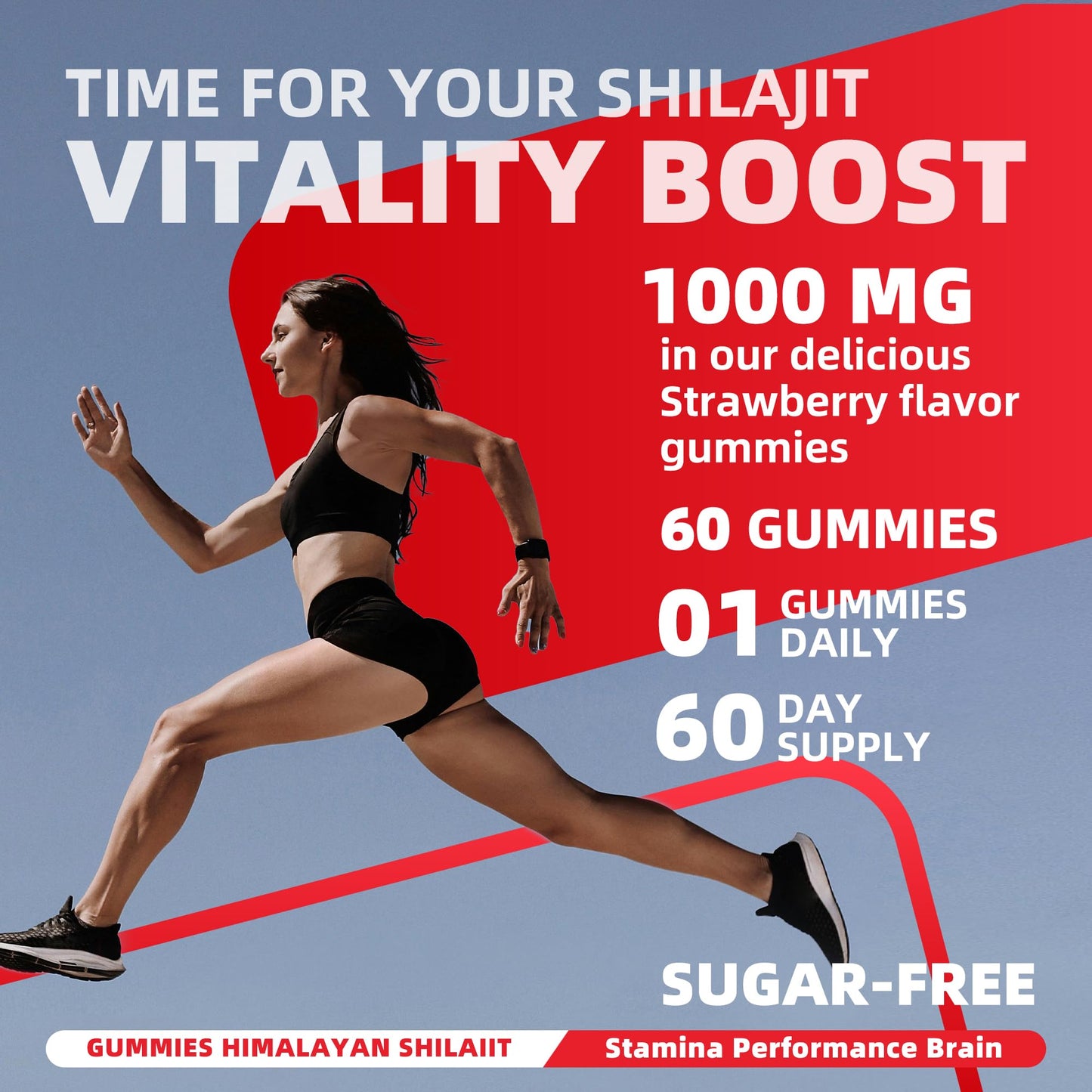 Novomins Himalayan Shilajit Gummies 60 Count
