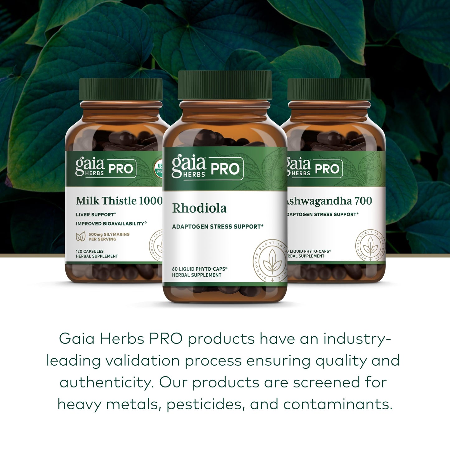Gaia Herbs PRO Rhodiola Energy Support Adaptogen with Rhodiola Root Extract Capsule, 60 Count