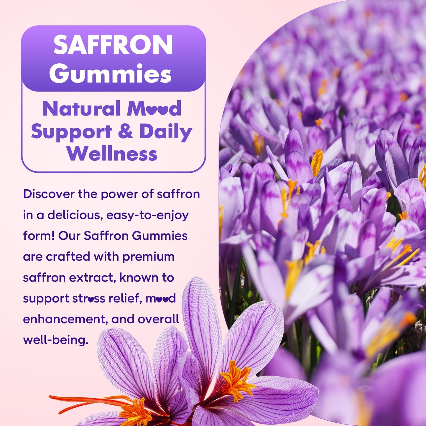 Softbear Saffron Gummies for Kids & Adults 60 Count