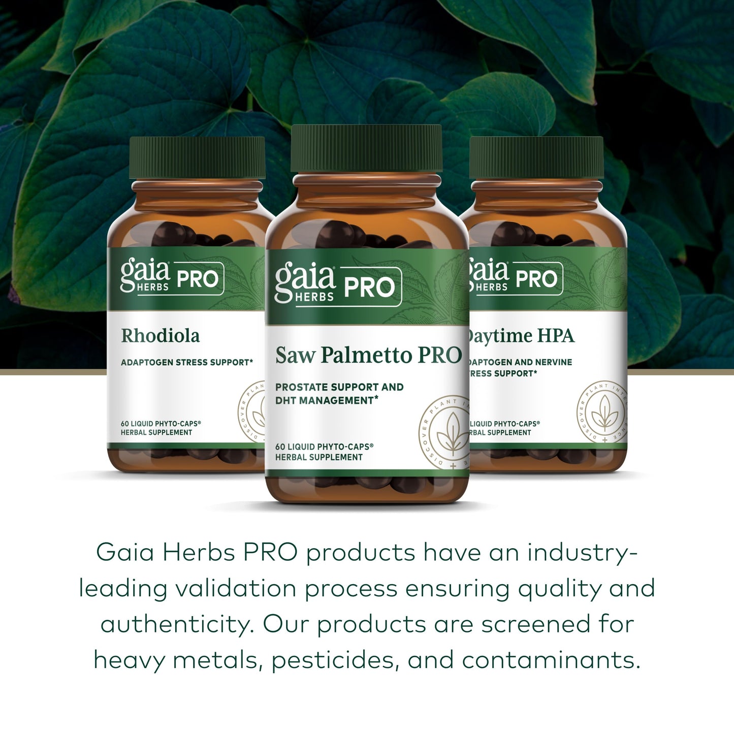 Gaia Herbs PRO Saw Palmetto PRO Capsule 60 Count